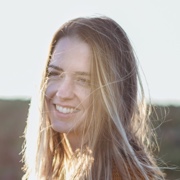 Fenster Türen Rollladen